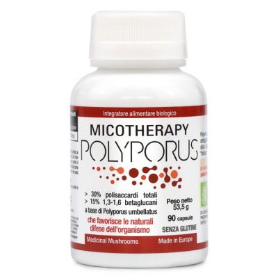 Micotherapy Polyporus